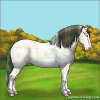 Horse Color:Plaid  Amber Champagne Onyx Splash Tobiano 
