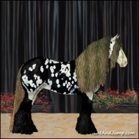 Horse Color:Plaid  Amber Champagne Dun Tobiano Near Leopard 