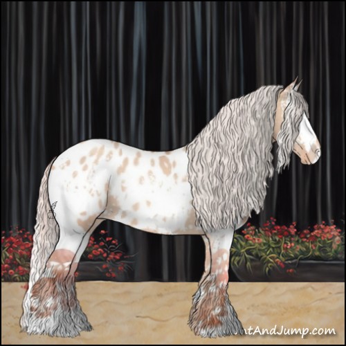 Horse Color:White Spotted Silver Amber Champagne Dun Sabino Appaloosa