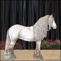 Horse Color:White Spotted Silver Amber Champagne Dun Sabino Appaloosa 