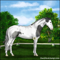 Horse Color:Black Splash Tobiano 