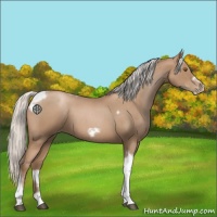 Horse Color:Silver Blue Roan Pearl Tobiano Frame 