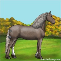 Horse Color:Silver Black 