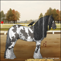Horse Color:White Spotted Grullo