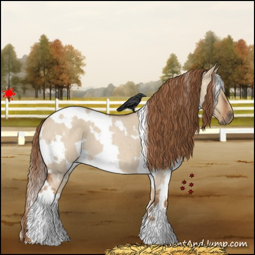 Horse Color:White Spotted Red Dun Roan 