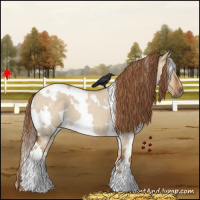 Horse Color:White Spotted Red Dun Roan