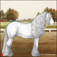 Horse Color:White Spotted Chestnut Splash Tobiano 