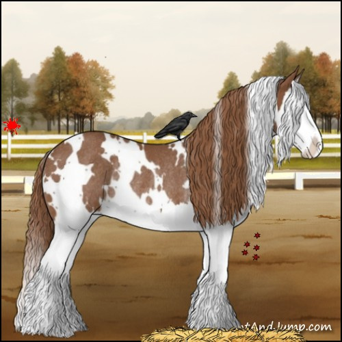 Horse Color:White Spotted Chestnut Splash Rabicano 