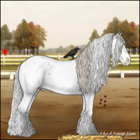 Horse Color:Silver Black Sabino Splash Appaloosa 
