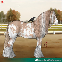Horse Color:White Spotted Red Dun Sabino