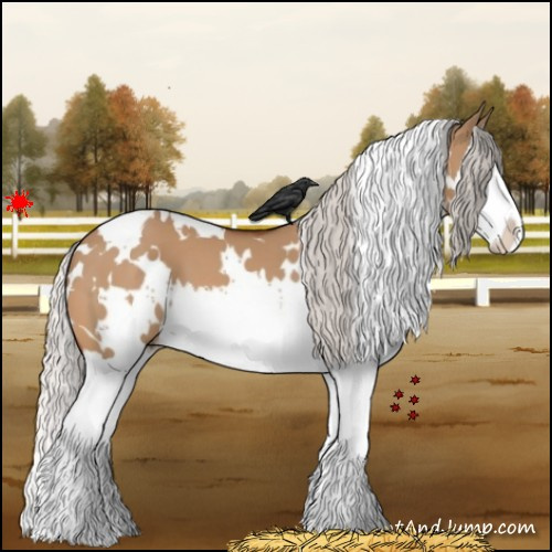 Horse Color:White Spotted Silver Bay Dun Splash 