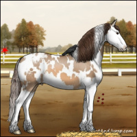 Horse Color:White Spotted Bay Dun Splash Varnish 