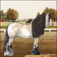 Horse Color:White Spotted Bay Dun 