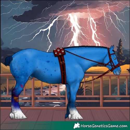 Horse Color:ERROR: UNKNOWN ANOMALY