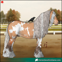 Horse Color:White Spotted Silver Bay Dun
