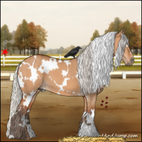 Horse Color:White Spotted Silver Bay Dun