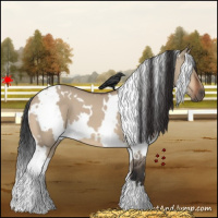 Horse Color:White Spotted Brown Dun 