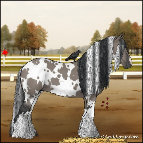 Horse Color:White Spotted Grullo 