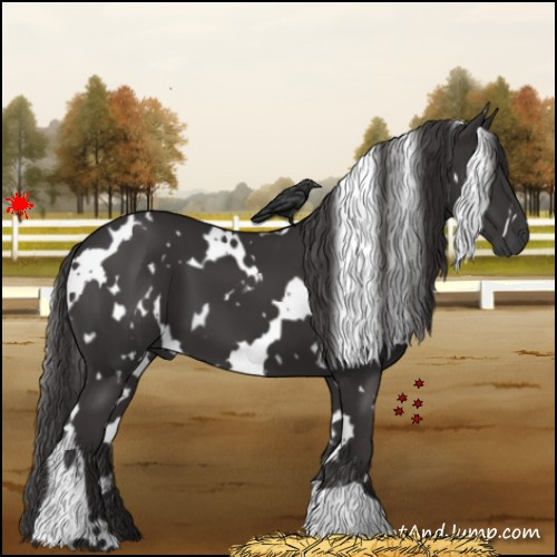 Horse Color:White Spotted Smoky Black 