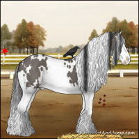 Horse Color:White Spotted Grullo Splash 