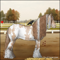 Horse Color:White Spotted Grullo Pearl