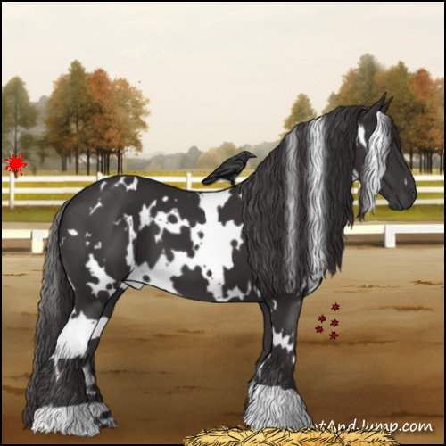 Horse Color:White Spotted Smoky Black 