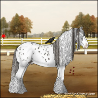 Horse Color:White Spotted Grullo Splash Blanket 