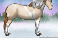 Horse Color:Red Dun Pearl Tobiano 
