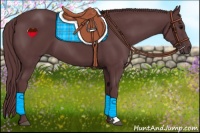 Horse Color:Chocolate Black 