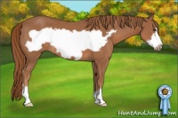Horse Color:Chestnut Frame