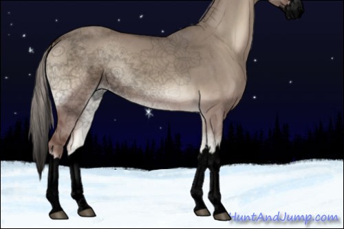 Horse Color:Void Silver Grullo Onyx Sabino Splash 