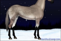 Horse Color:Void Silver Grullo Onyx Sabino Splash 