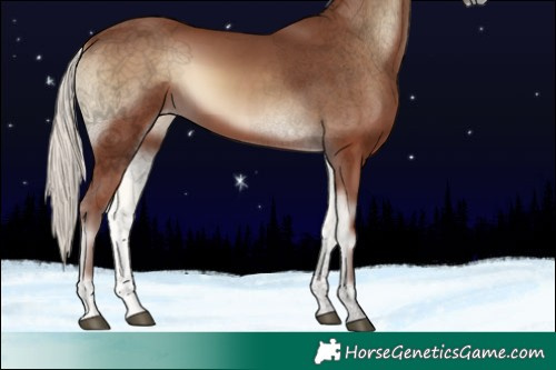 Horse Color:Void Silver Blue Onyx 