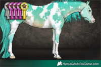 Horse Color:Watercolor White Spotted Brown 