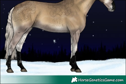 Horse Color:Void Silver Smoky Blue Onyx 