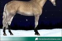 Horse Color:Void Silver Smoky Blue Onyx 