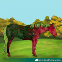 Horse Color:ERROR: UNKNOWN ANOMALY