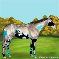 Horse Color:Liver Red Onyx Ice Roan Splash