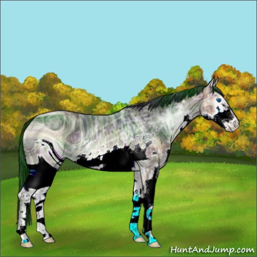 Horse Color:ERROR: UNKNOWN ANOMALY