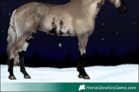Horse Color:Void Silver Grullo Onyx Sabino Splash 