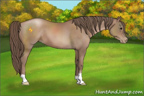 Horse Color:Black Pearl 