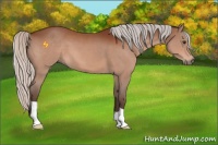 Horse Color:Silver Brown 