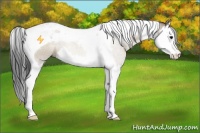 Horse Color:Brown Dun Sabino Splash Tobiano 