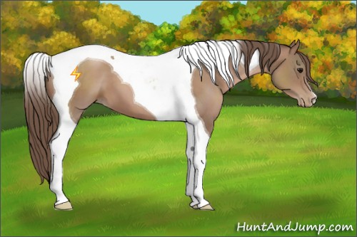 Horse Color:Black Pearl Tobiano 
