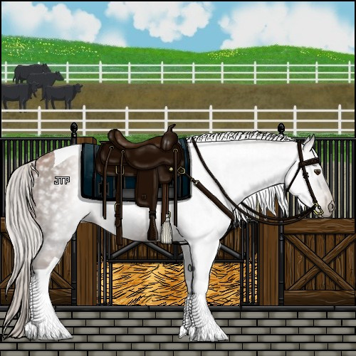 Horse Color:Gray Silver Black Pearl Tobiano 