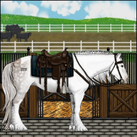 Horse Color:Gray Silver Black Pearl Tobiano