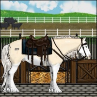 Horse Color:Gold Cream Champagne Dun Splash 