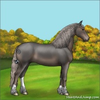 Horse Color:Silver Black 