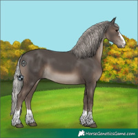 Horse Color:Silver Black 