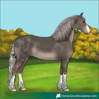 Horse Color:Silver Black 